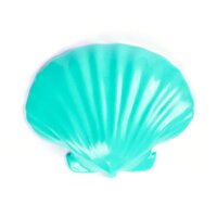 Muschelhälfte